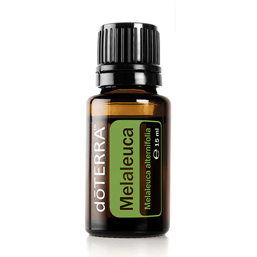 dōTERRA ätherisches Teebaumöl (Melaleuca) – 15 ml